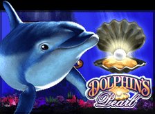 Дельфины